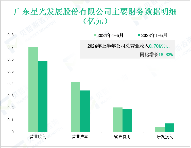 广东星光发展股份有限公司主要财务数据明细(亿元)