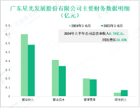 星光股份深耕光科技应用领域，其营收在2024年上半年为0.70亿元