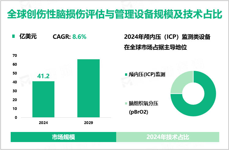 全球创伤性脑损伤评估与管理设备规模及技术占比