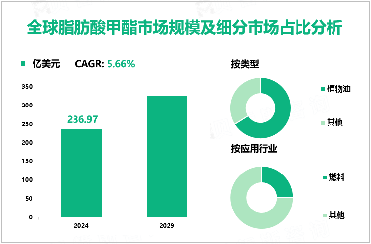 全球脂肪酸甲酯市场规模及细分市场占比分析