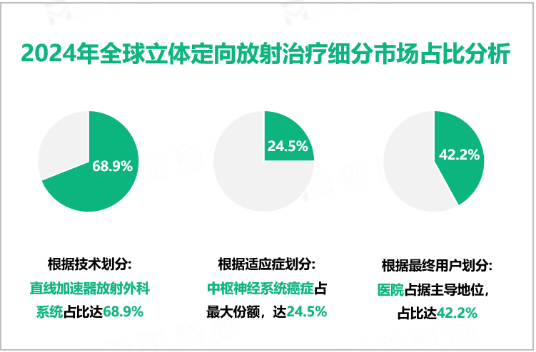 2024年全球立体定向放射治疗细分市场占比分析