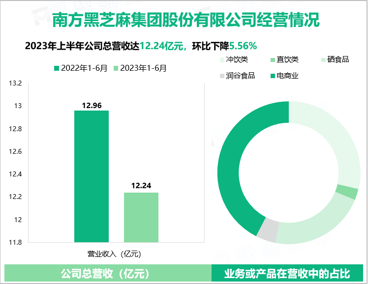 南方黑芝麻集团股份有限公司经营情况