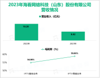 海看股份以“双治理”推动IPTV行业健康有序发展，其营收在2023年为9.92亿元