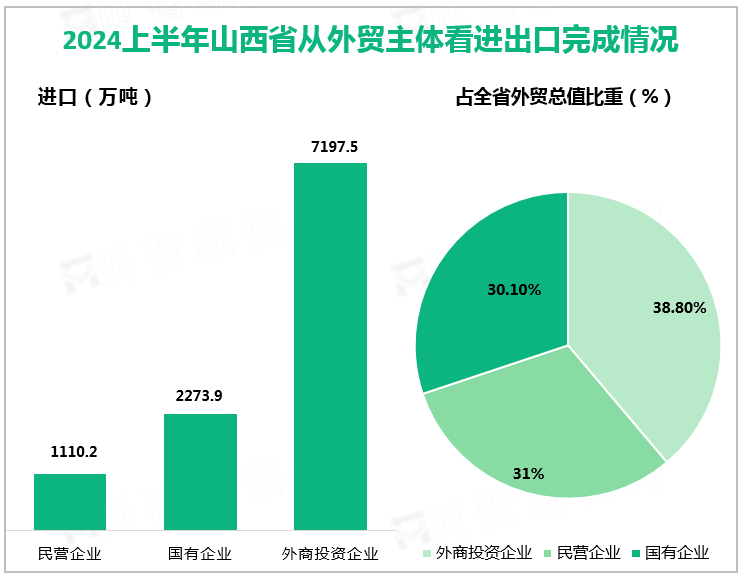 2024上半年山西省从外贸主体看进出口完成情况