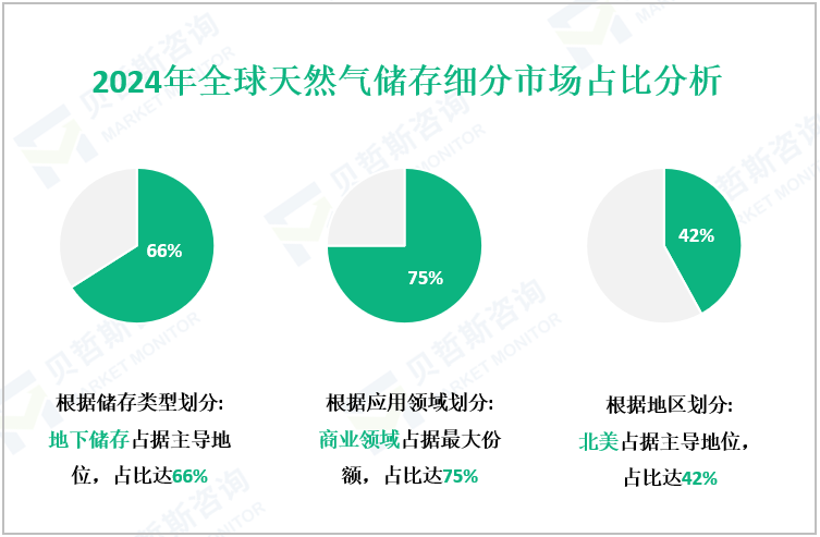 2024年全球天然气储存细分市场占比分析
