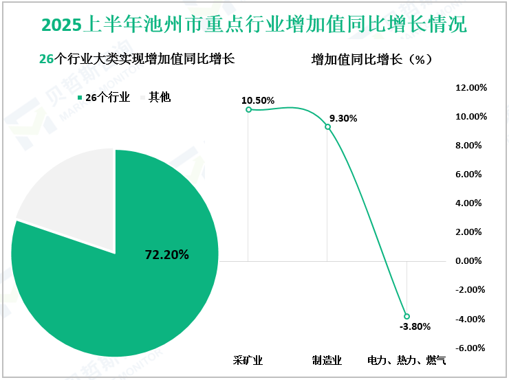 2025上半年池州市重点行业增加值同比增长情况