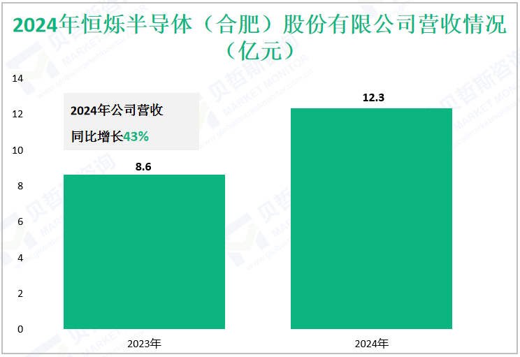 2024年恒烁半导体（合肥）股份有限公司营收情况（亿元）