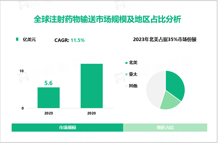 全球注射药物输送市场规模及地区占比分析