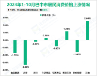 2024年1-10月巴中市实现社会消费品零售总额467.35亿元，同比增长6.5%