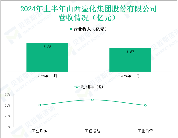 2024年上半年山西壶化集团股份有限公司营收情况(亿元)