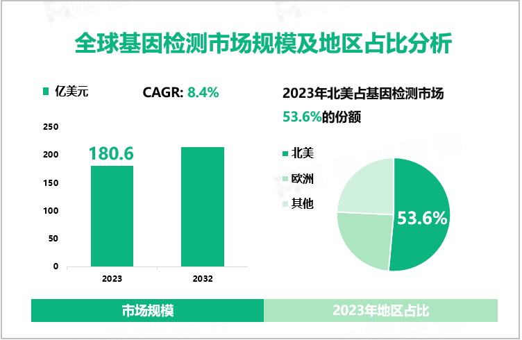 全球基因检测市场规模及地区占比分析