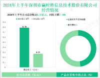 赢时胜专注于金融科技，其营收在2024年上半年为6.27亿元