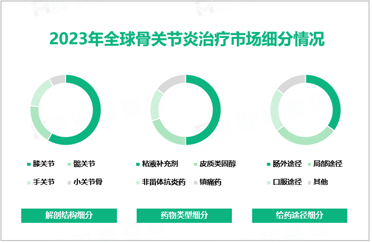 2023年全球骨关节炎治疗市场细分情况