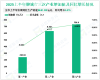 2025上半年聊城市生产总值1611.88亿元，同比增长5.8%