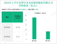 中来股份专注于光伏产业，其营收在2024年上半年为30.80亿元
