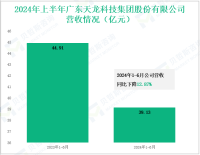 天龙集团深耕互联网营销与精细化工，其营收在2024年上半年为39.13亿元