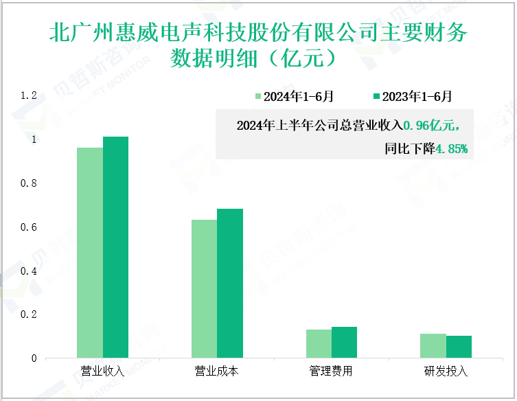 北广州惠威电声科技股份有限公司主要财务数据明细(亿元)