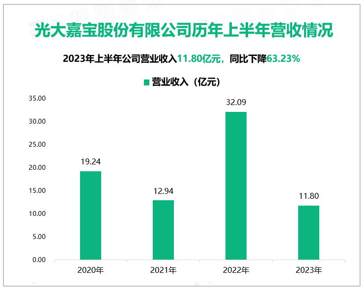 光大嘉宝股份有限公司历年上半年营收情况