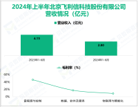 飞利信深耕软件与信息技术服务业，其营收在2024年上半年为2.80亿元