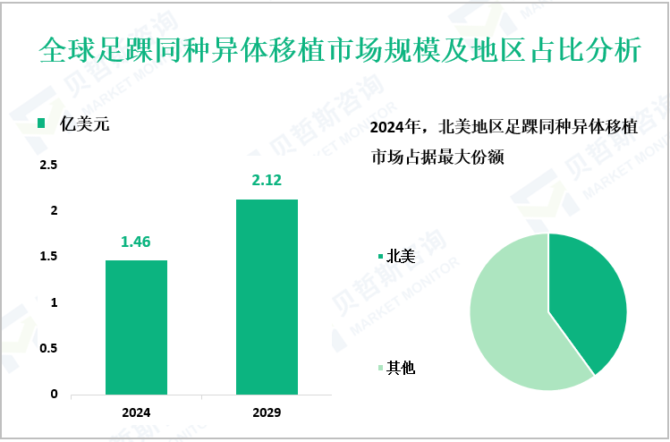 全球足踝同种异体移植市场规模及地区占比分析