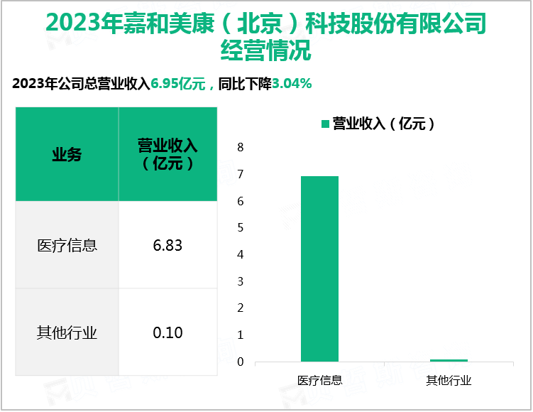 2023年嘉和美康（北京）科技股份有限公司经营情况