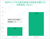 海能实业深耕消费电子与新能源领域，其营收在2024年上半年为9.38亿元