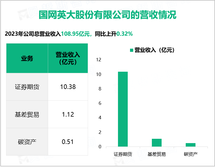 国网英大股份有限公司的营收情况