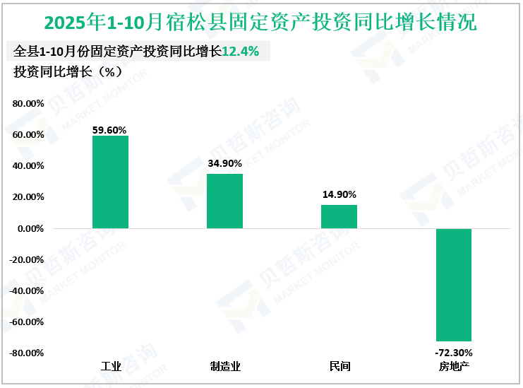 2025年1-10月宿松县固定资产投资同比增长情况