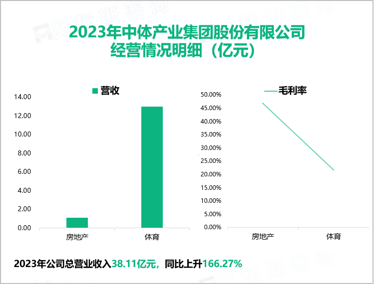 2023年中体产业集团股份有限公司经营情况明细（亿元）