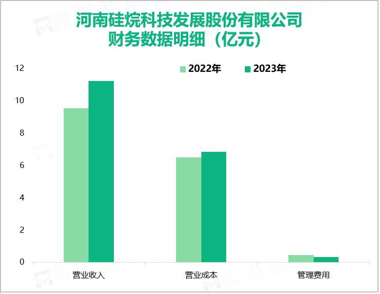 河南硅烷科技发展股份有限公司财务数据明细（亿元）