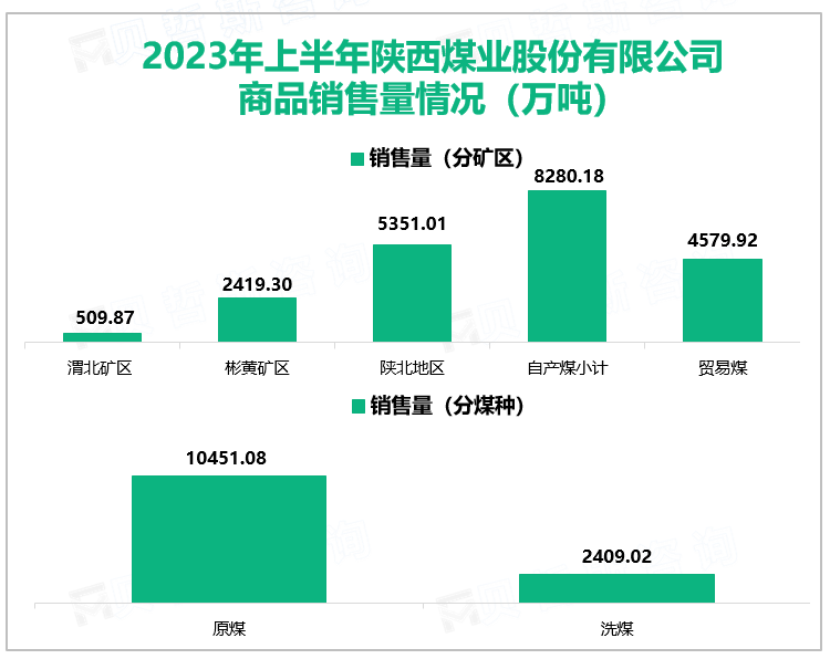 2023年上半年陕西煤业股份有限公司商品销售量情况（万吨）