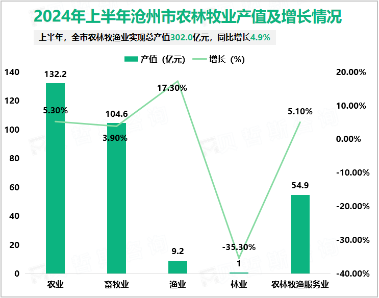 2024年上半年沧州市农林牧业产值及增长情况