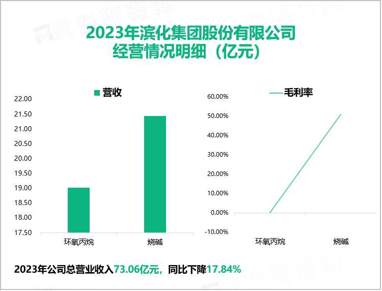 2023年滨化集团股份有限公司经营情况明细（亿元）