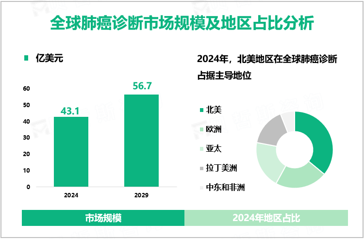 全球肺癌诊断市场规模及地区占比分析