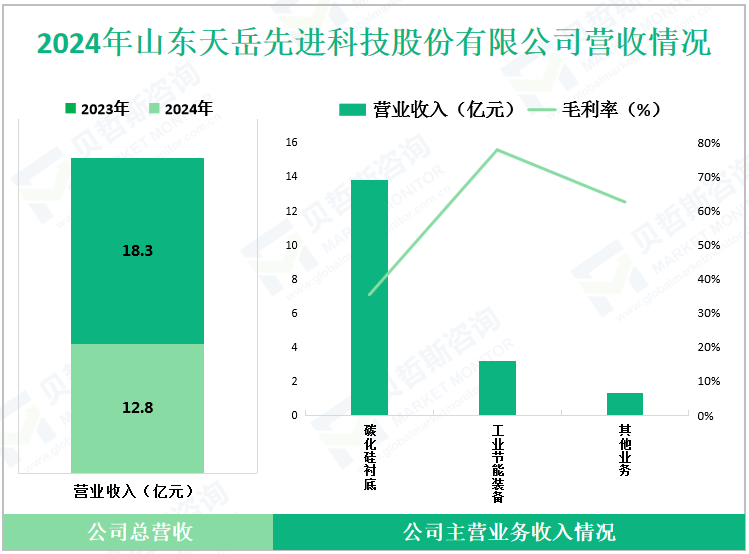 2024年山东天岳先进科技股份有限公司营收情况