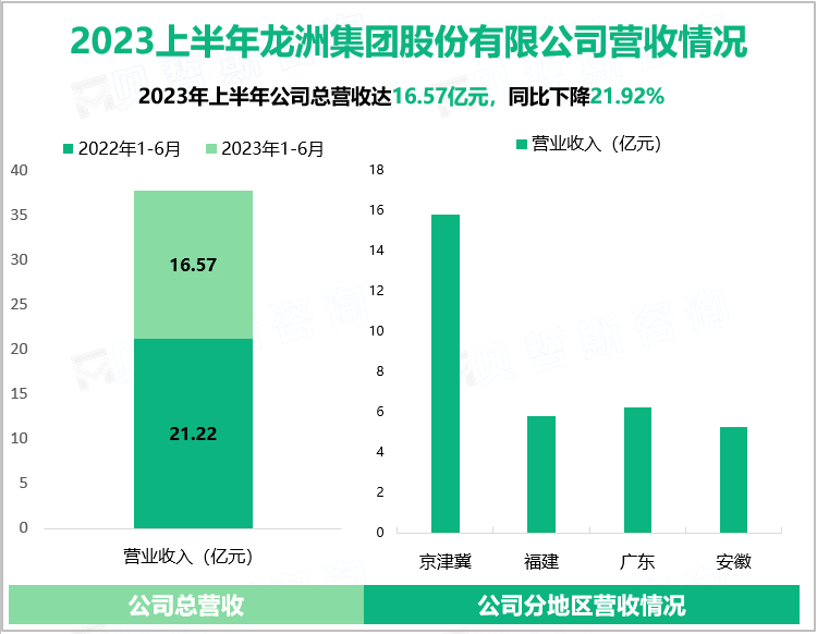 2023上半年龙洲集团股份有限公司营收情况