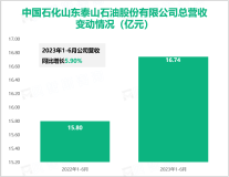 山东省泰安市成品油最大经销商：泰山石油2023年上半年总营收达16.74亿元