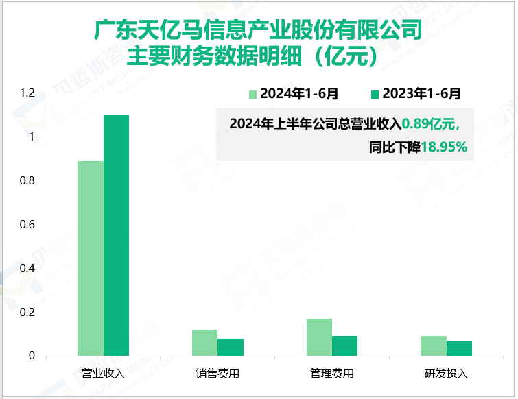 广东天亿马信息产业股份有限公司主要财务数据明细(亿元)
