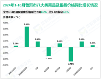 2024年1-10月普洱市固定资产投资（不含农户）同比下降17.4%