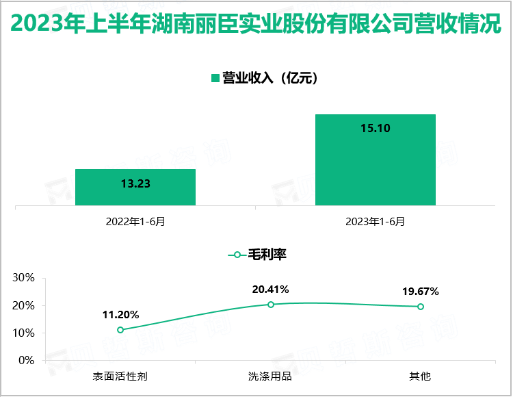 2023年上半年湖南丽臣实业股份有限公司营收情况