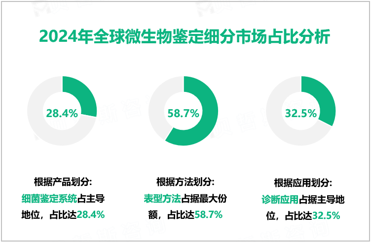 2024年全球微生物鉴定细分市场占比分析