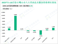 2025年1-10月份石嘴山市规模以上工业增加值增长4.1%，比1-9月份回落1%