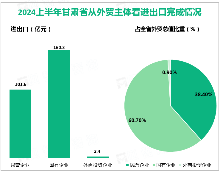 2024上半年甘肃省从外贸主体看进出口完成情况