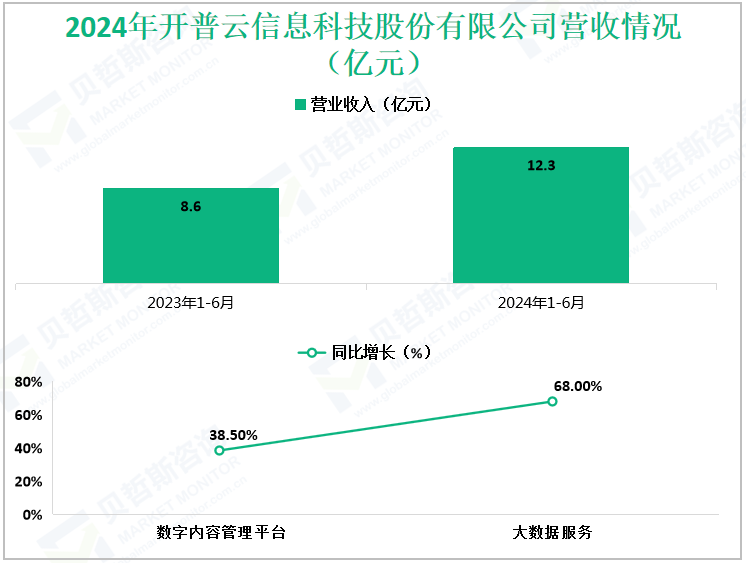 2024年开普云信息科技股份有限公司营收情况（亿元）