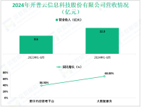 开普云专注于数字内容管理领域，其2024年营收为12.3亿元