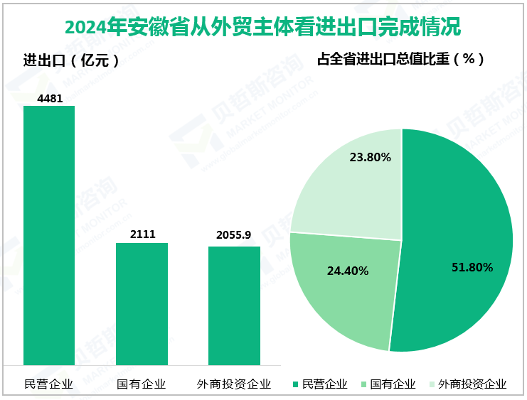 2024年安徽省从外贸主体看进出口完成情况