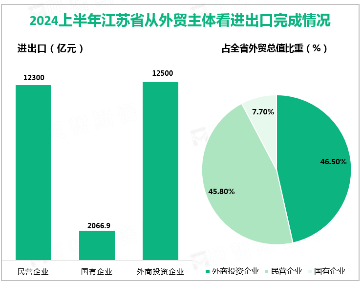 2024上半年江苏省从外贸主体看进出口完成情况