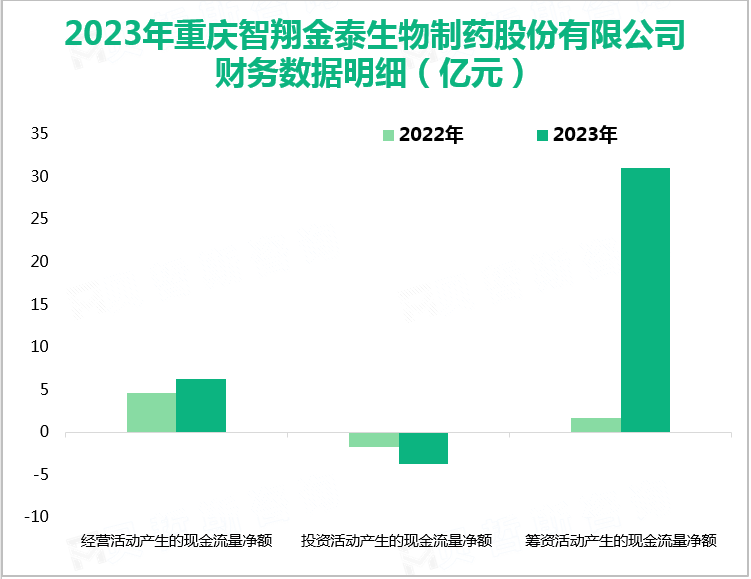 2023年重庆智翔金泰生物制药股份有限公司财务数据明细（亿元）