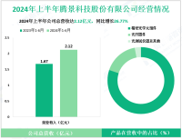 腾景科技深耕于精密高端光学元件产业，其2024上半年营收为2.12亿元