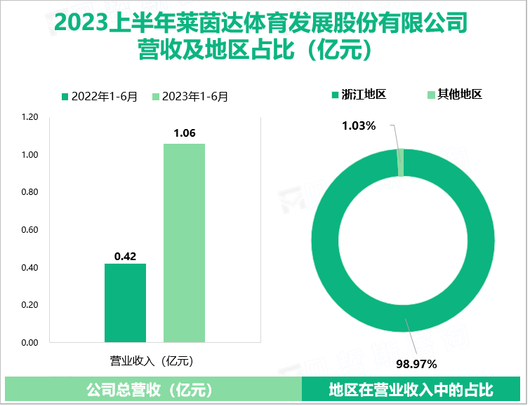 2023上半年莱茵达体育发展股份有限公司 营收及地区占比（亿元）